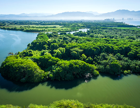 Vidanta sustainability