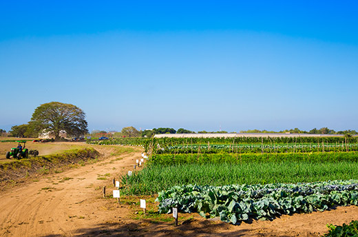 Grupo Vidanta –el desarrollador líder de resorts e infraestructuras turísticas en México y Latinoamérica