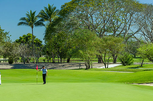 Los campos de golf diseñados por Greg Norman y Jack Nicklaus, serán los escenarios perfectos para llevar a cabo del próximo 13 al 15 de octubre, el primer torneo de golf “Celebrity Invitational” en Vidanta Nuevo Vallarta